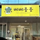 베베몽몽 이미지