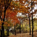 영통중학교 이미지