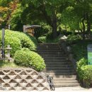 우면생태놀이터 이미지