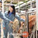 서현목장 이미지