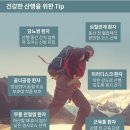 산행중 흔하게 발생하는 발목 인대 손상 이미지