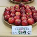 포천과일