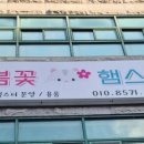 봄꽃햄스터 이미지