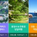 안동시티투어 동이사람들 이미지