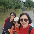 해파랑길44코스 (2025.10.26.일) 양지 이미지