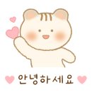 강릉하파펜션 이미지