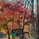 필례약초상회