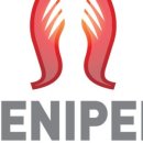 네꼬네일 이미지