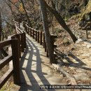 산막이약수터 이미지