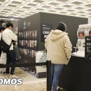 신단수디자인 이미지