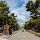 송림테마거리 이미지