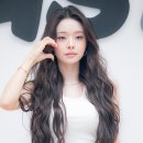 프리지아 이미지