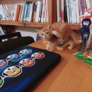 달봉이민박 이미지