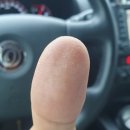 백로사우나 이미지