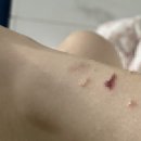 나라온의원 이미지