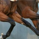 송산헬스 이미지