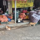 영산포풍물시장 | 나주영산포풍물시장 예쁨받았던 방문기록 :) ㅎㅎ