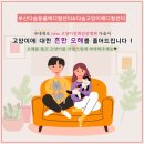 어울림동물메디컬센터 | 일으킨다? 흔한 고양이에 대한 오해!-부산동물병원/부산고양이병원/다솜고양이메디컬센터/다솜동물병원