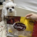 프롬네이처 | 강아지 간식 추천 <프롬네이쳐 칠면조 스테이크> 후기