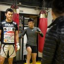 팀 매드 이미지