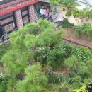 회성동110 이미지