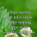 우아하개 이미지