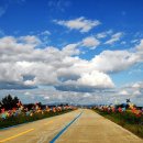 바람개비 이미지