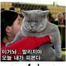 간선-68 이미지