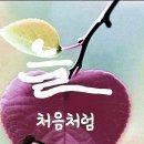 1916동북숯불구이