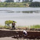 창흥동해수욕장 이미지