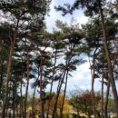 늘푸른캠핑장 이미지