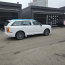 켈리그라피A | 팰리세이드 하이브리드 캘리그래피 화이트 신차패키지