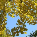 직업상담사 필기 - 노동관계법규 이미지