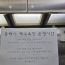 더뷰호스텔 | 동해 묵호숙소 추천 어달항 바로 앞 바다뷰 선창호스텔 후기