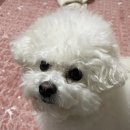 지에스25 관양인덕원점 | 월간 blog. 26년 2월 일상모음집