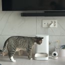 다나동물의료센터 이미지