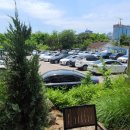 북극해고등어 이미지