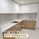 롯데캐슬아파트 | 동탄입주청소 메타역롯데캐슬아파트 입주청소 후기 씨씨데일리