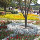 장미모텔 이미지