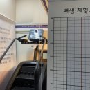 수원역 체형교정 약발테라피 뼈샘체형교정원 후기