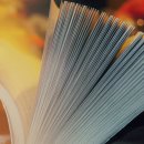 휴먼pc방 이미지