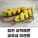 늘푸른농장 | [공지] [합천멜론 추천] 합천 쌍책면 늘푸른농장의 당도높은 멜론 드셔 보실래요?(공유 이벤트)