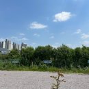 (주)조광식품 이미지