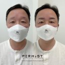 펄미에이트
