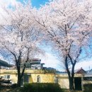 이을 한옥 스테이 | 구례 가볼만한곳 운조루 고택 누마루의 풍요