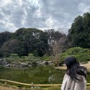 신세계모피세탁 | 25년 진도모피 실버블루 후드자켓 대구 신세계 백화점 구매 40대 후드밍크 밍크자켓