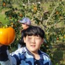 월봉초등학교 이미지