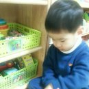 도다미 이미지