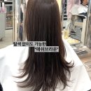 하은미용실 - 광양시 | 하은미용실