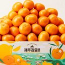 브릭스 제주 이미지